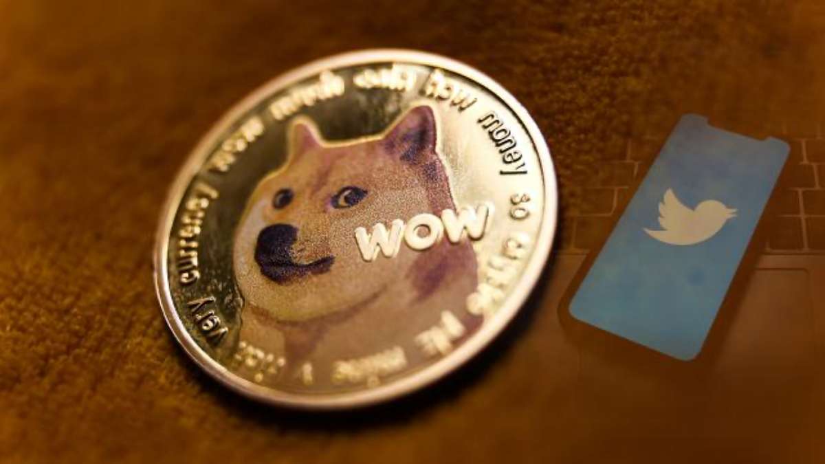 doge tw 2024080 2 2