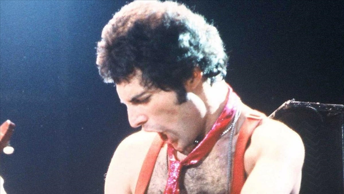 freddie