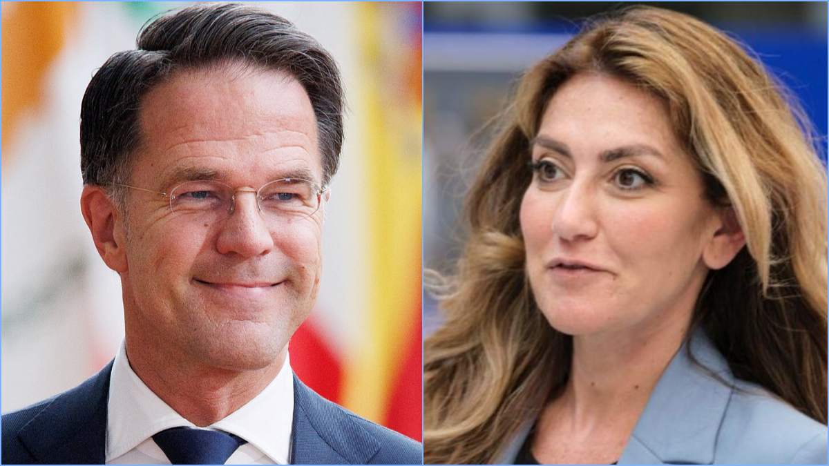 rutte d