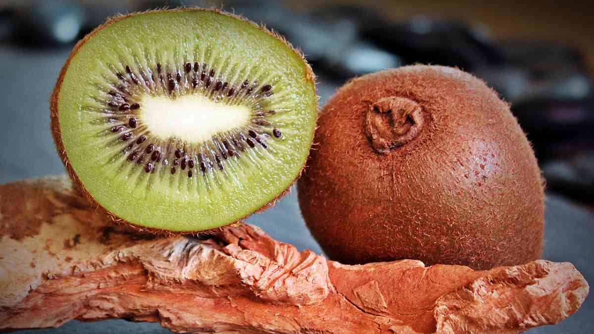 kiwi 1402780 1280