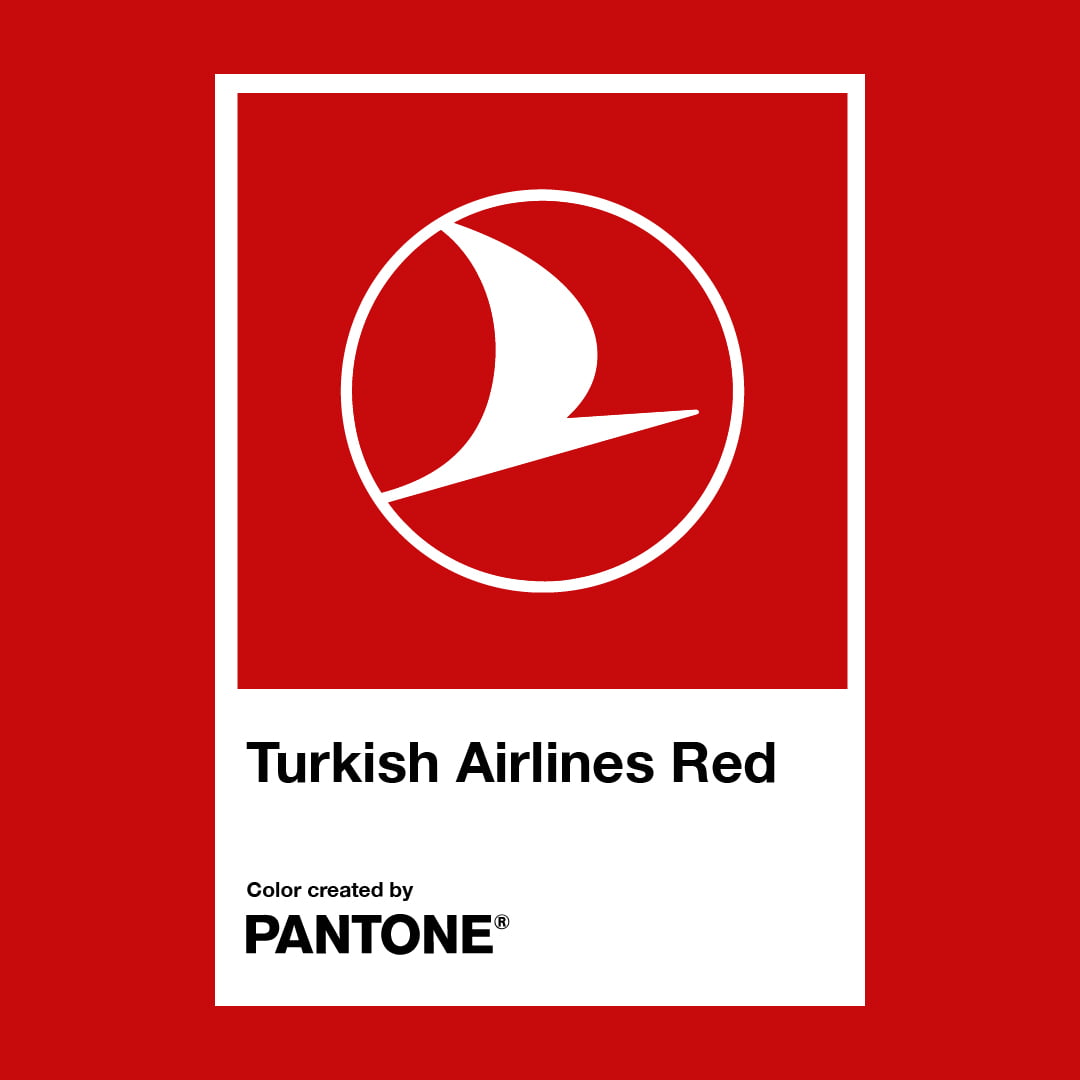 AA 20240301 33859540 33859539 THY TURKISH AIRLINES REDI TANITTI