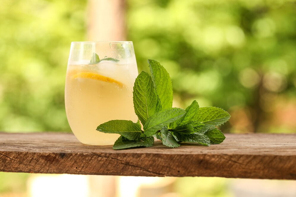 closeup shot glass cold lemonade with mint leaves 181624 46800