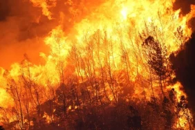 0x0-turkiyenin-cigerleri-yaniyor-izmir-aydin-bolu-mugla-ve-manisadaki-orman-yanginlarinda-son-durum-1723875222374