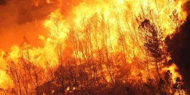 0x0-turkiyenin-cigerleri-yaniyor-izmir-aydin-bolu-mugla-ve-manisadaki-orman-yanginlarinda-son-durum-1723875222374