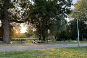 Hollanda'da "yılın en sıcak" günü yaşandı