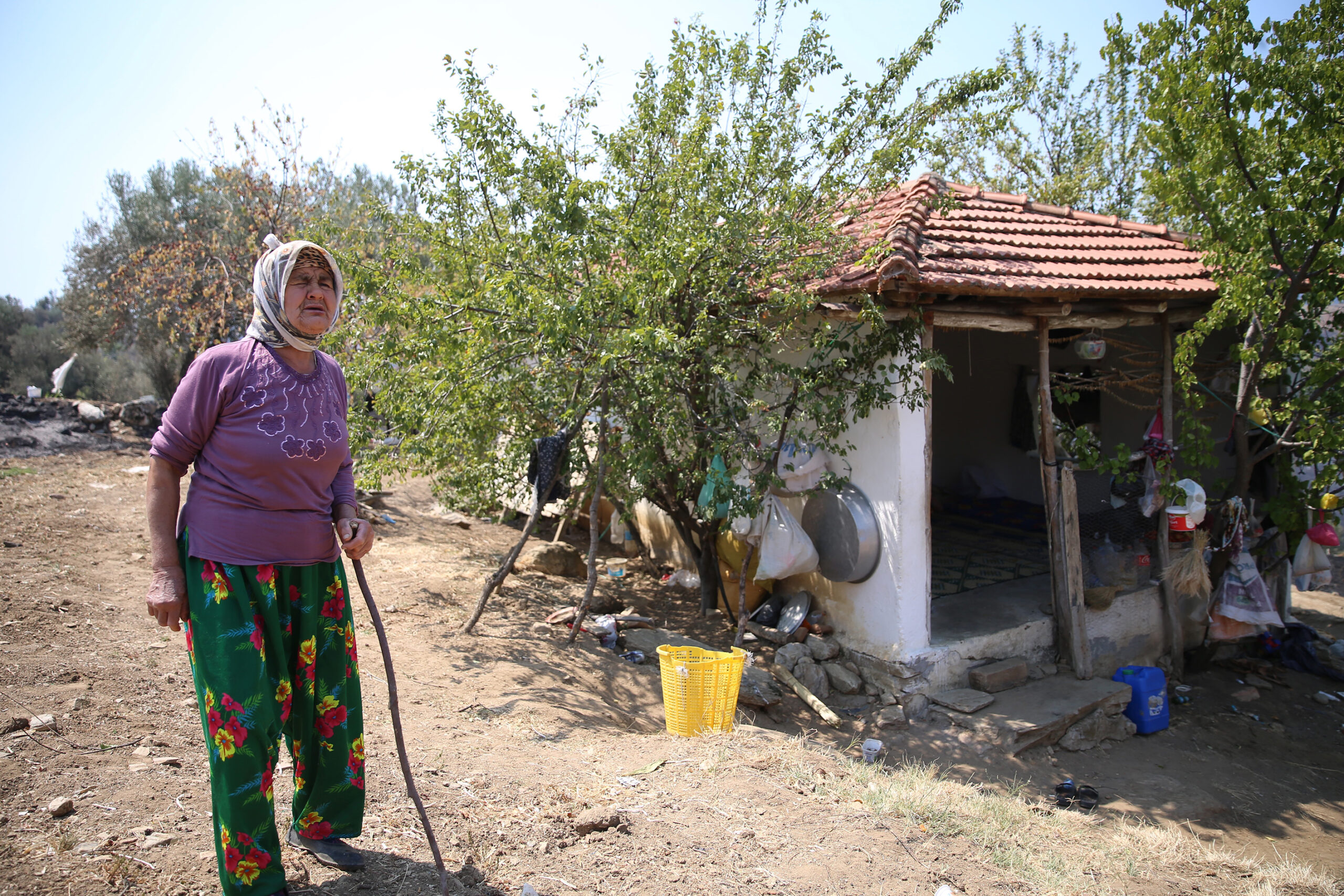 AA 20240817 35425236 35425234 YASLI KADIN KURU OTLARI TEMIZLEYEREK EVINI ORMAN YANGININDAN KURTARDI scaled