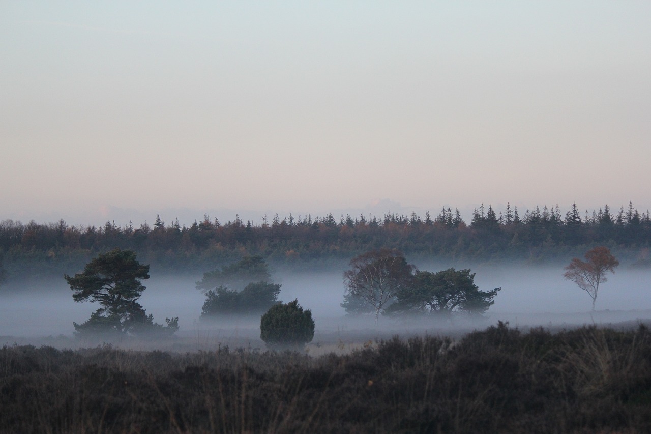 Veluwe