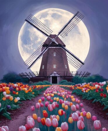 dolanay-hollanda-yeldeğirmeni