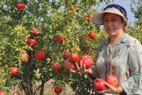 thumbs_b_c_0ee8c90e1af1af24cfc2714abcafbc0e