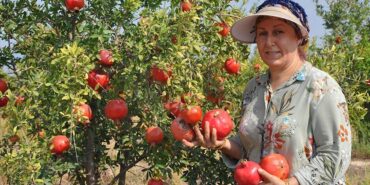 thumbs_b_c_0ee8c90e1af1af24cfc2714abcafbc0e