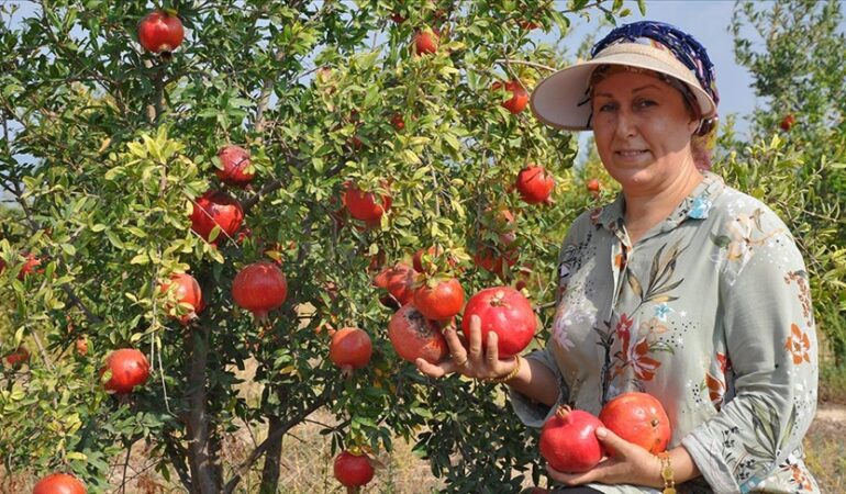 thumbs_b_c_0ee8c90e1af1af24cfc2714abcafbc0e