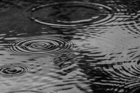 thumbs_b_c_2cdb2f72f70b2231362b20ff4d49349d