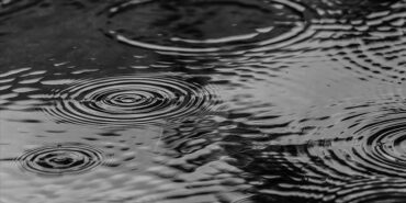 thumbs_b_c_2cdb2f72f70b2231362b20ff4d49349d