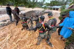 thumbs_b_c_e54399a21fbe950f1c6a653d56d11233