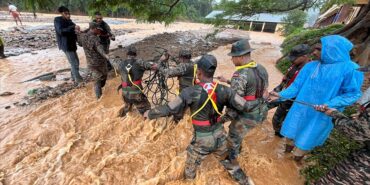 thumbs_b_c_e54399a21fbe950f1c6a653d56d11233