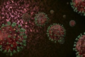 virus