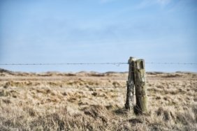 beautiful-shot-barbed-wires-tied-woods-middle-grass-field-clear-sky_181624-4780