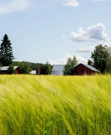 field-8139258_1280