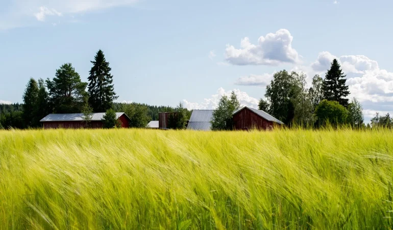 field-8139258_1280