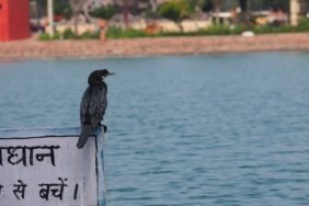 kurukshetra-5181585_1280