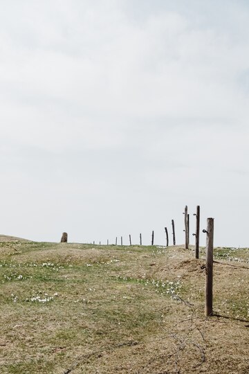 wide angle shot green grass cloudy sky surrounded by wooden fence 181624 11604