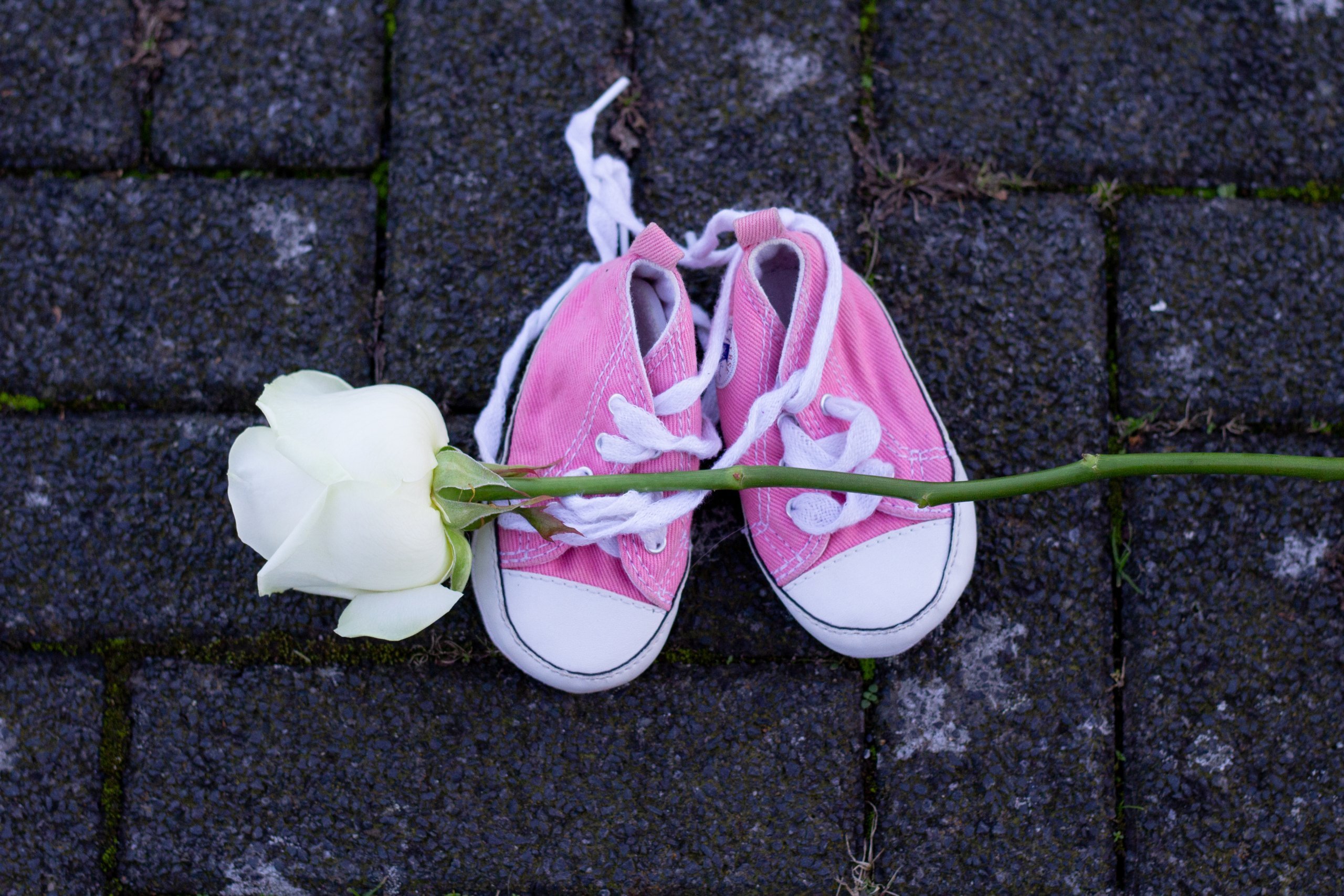 AA 20241104 36104098 36104088 HOLLANDADA ISRAIL SALDIRILARINDA OLEN FILISTINLI GAZETECILER VE COCUKLAR ICIN ANMA ETKINLIGI YAPILDI 1 scaled