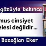 Afbeelding van WhatsApp op 2024-11-21 om 00.24.32_69c9be70