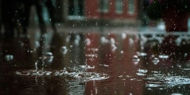 AA-20241226-36589138-36589137-2024_BELCIKADA_EN_YAGMURLU_YIL_OLDU