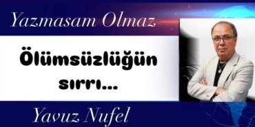 Afbeelding van WhatsApp op 2024-12-17 om 13.02.04_c9282d74