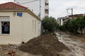 thumbs_b_c_3a17a23e7d7d2f48e1c78325e5846219