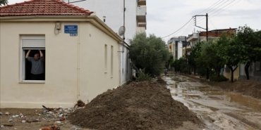 thumbs_b_c_3a17a23e7d7d2f48e1c78325e5846219