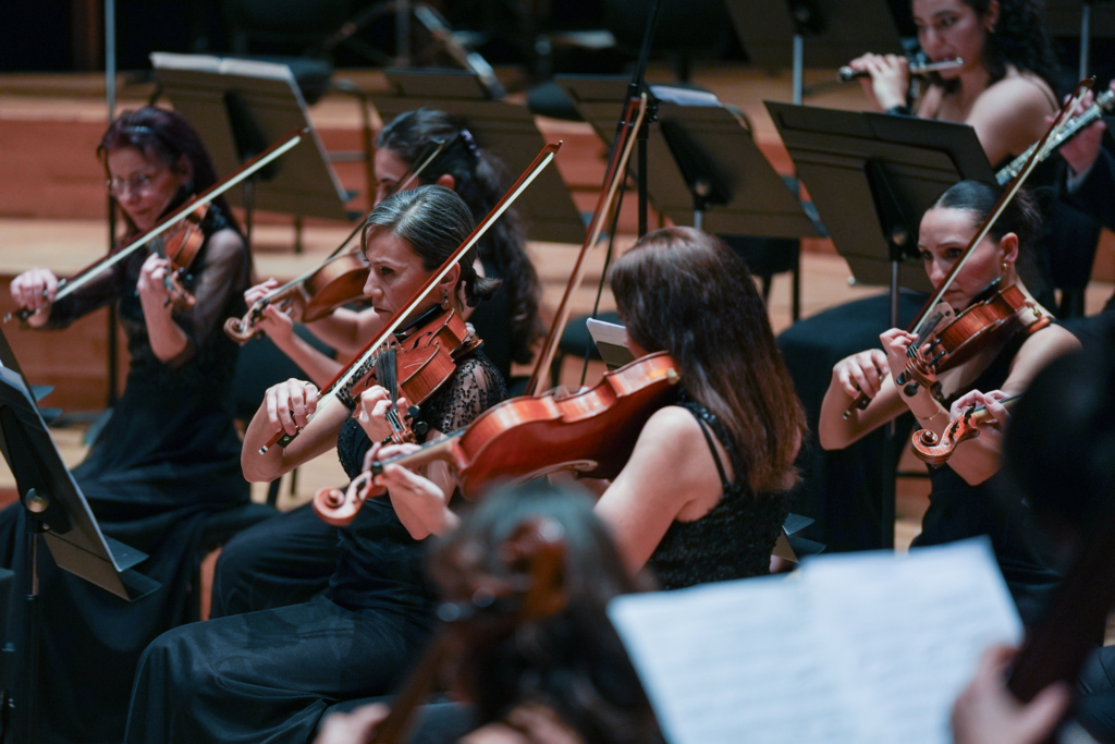 İzmir'de Olten Filarmoni Orkestrası'ndan Hollanda-Türkiye Dostluk Konseri