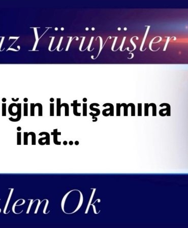 Afbeelding van WhatsApp op 2025-04-07 om 11.47.04_6423c3f5