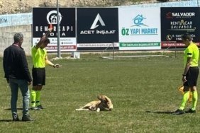 thumbs_b_c_ecb727f6a401e6535728aad3da3a8e6b