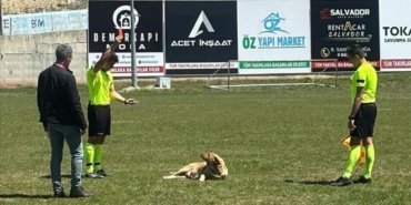 thumbs_b_c_ecb727f6a401e6535728aad3da3a8e6b