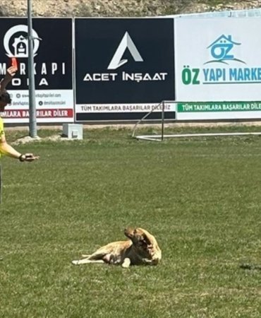 thumbs_b_c_ecb727f6a401e6535728aad3da3a8e6b