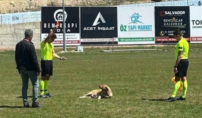 thumbs_b_c_ecb727f6a401e6535728aad3da3a8e6b