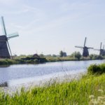 Hollanda'da "Ulusal Değirmen Günü"nde yüzlerce değirmenin kapıları ziyaretçilere açıldı