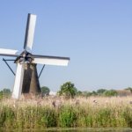 Hollanda'da "Ulusal Değirmen Günü"nde yüzlerce değirmenin kapıları ziyaretçilere açıldı