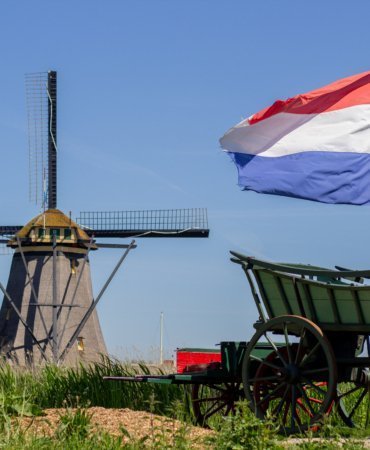 Hollanda'da "Ulusal Değirmen Günü"nde yüzlerce değirmenin kapıları ziyaretçilere açıldı