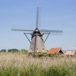 Hollanda'da "Ulusal Değirmen Günü"nde yüzlerce değirmenin kapıları ziyaretçilere açıldı