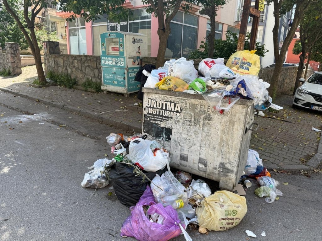 Afbeelding van WhatsApp op 2025 05 20 om 11.50.42 96494747