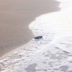 1750062350_Mavi_MG_7866