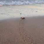 1750062360_Mavi_2023_08_08_at_17.12.28