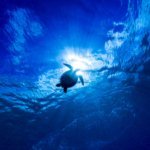 1750062362_Mavi_Rectangle_1_copy_2