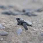 1750062431_Mavi_MG_7814