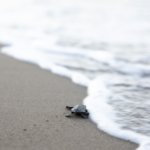 1750062432_Mavi_MG_3758