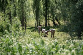 Osmanlı Ocakları ve Ocak Partisi Genel Başkanı Canpolat, ağabeyince silahla öldürüldü