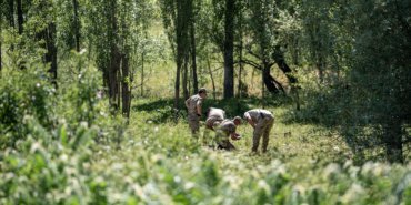 Osmanlı Ocakları ve Ocak Partisi Genel Başkanı Canpolat, ağabeyince silahla öldürüldü