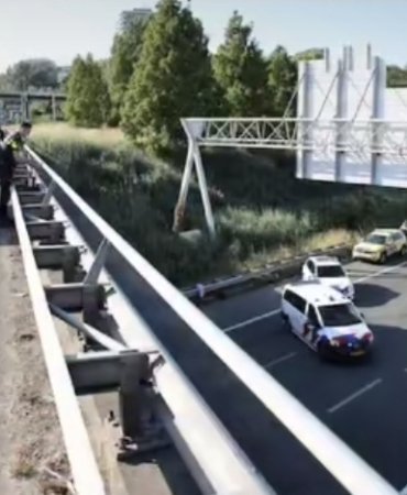 Screenshot_20250621_162641_TikTok